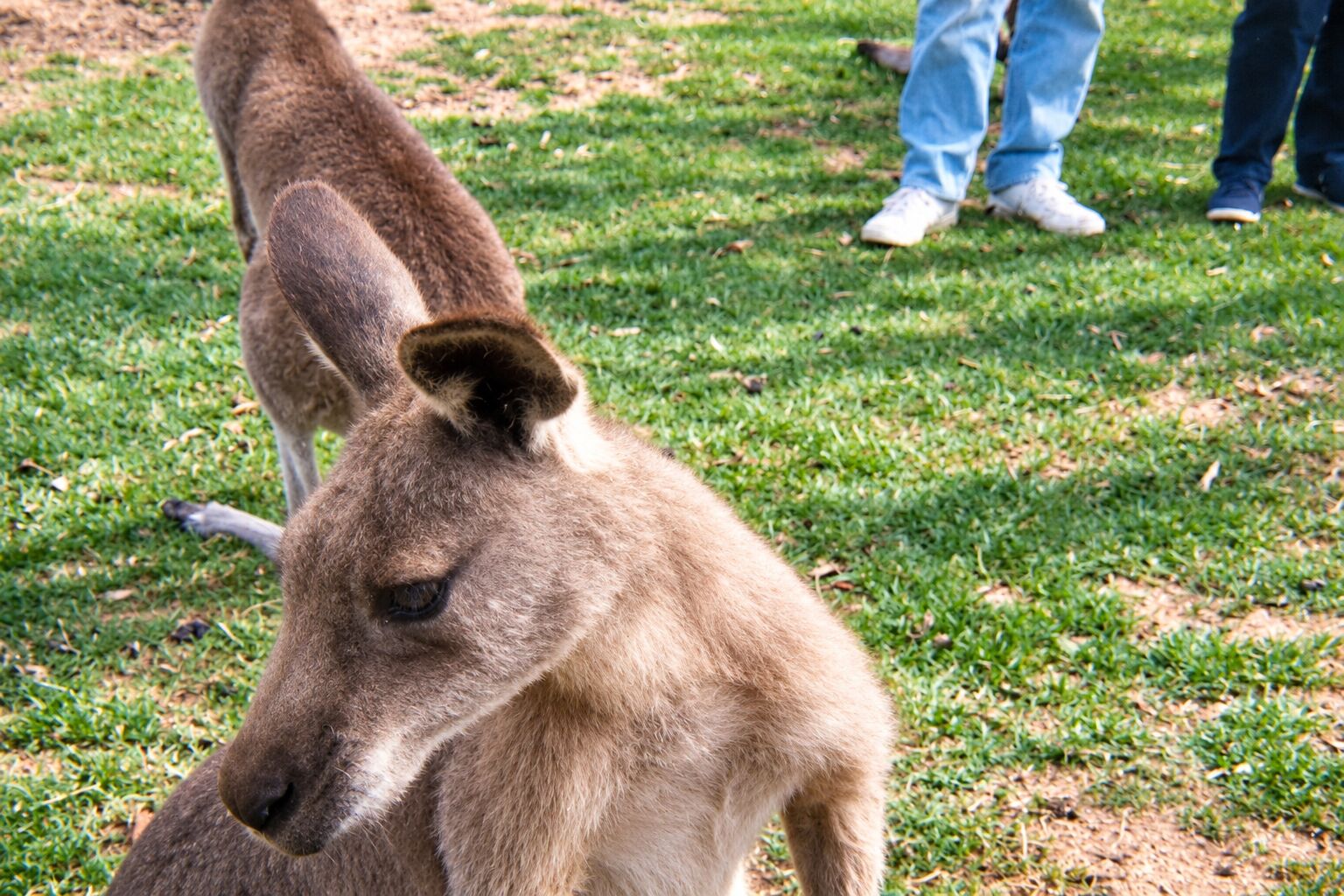 Gumbuya World in Tynong, Victoria
