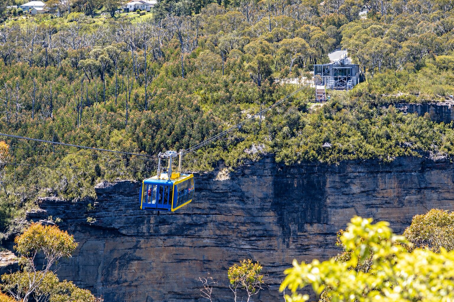 A theme park moment in Australia