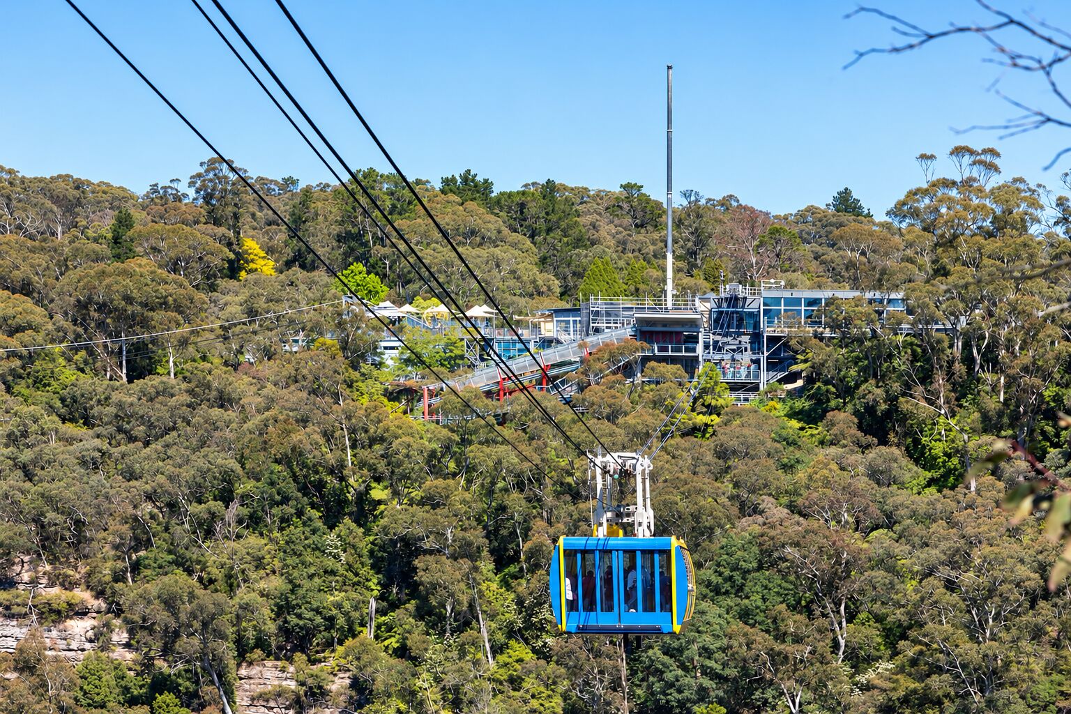Families enjoying Scenic World