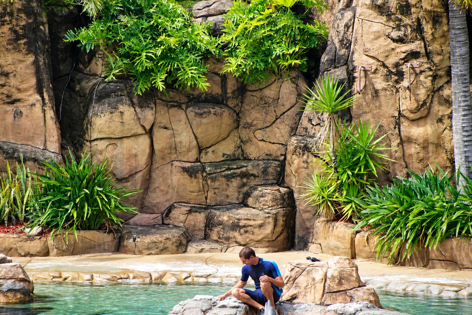 Sea World in Gold Coast, Queensland