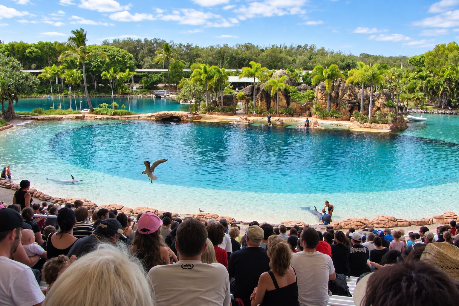A headline attraction at Sea World