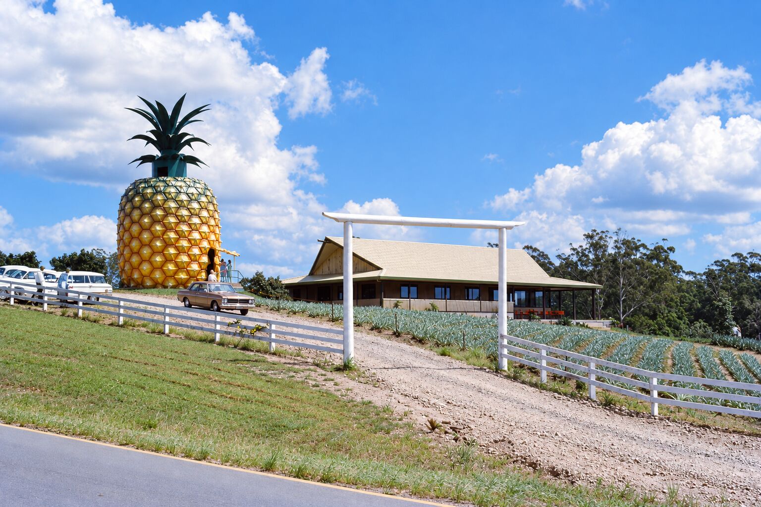 The Big Pineapple in Woombye, Queensland